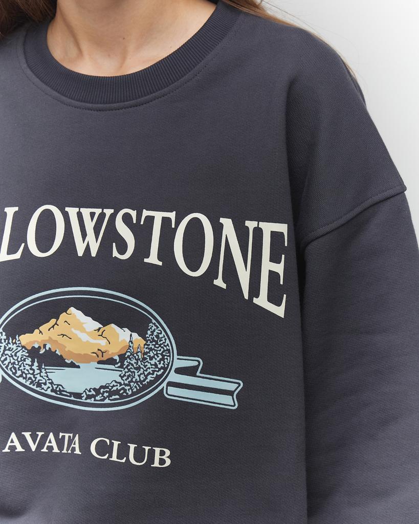 изображение Свитшот Yellowstone Cotton